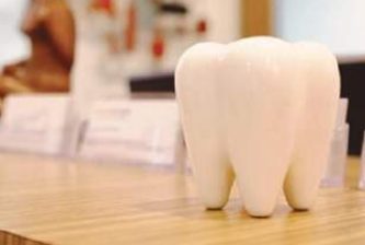 Best Orthodontist Sydney